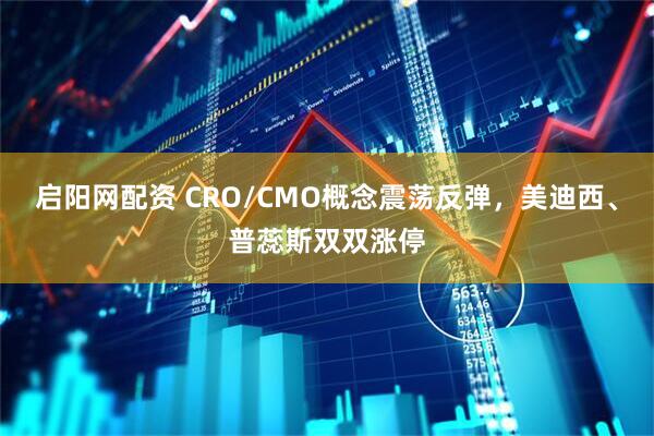 启阳网配资 CRO/CMO概念震荡反弹，美迪西、普蕊斯双双涨停